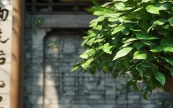 佛教菩提何以现身淘宝？信仰与商业的碰撞带来何深意？