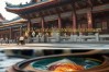 佛教放生误区