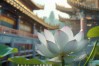 佛教为何以莲花为重要象征？